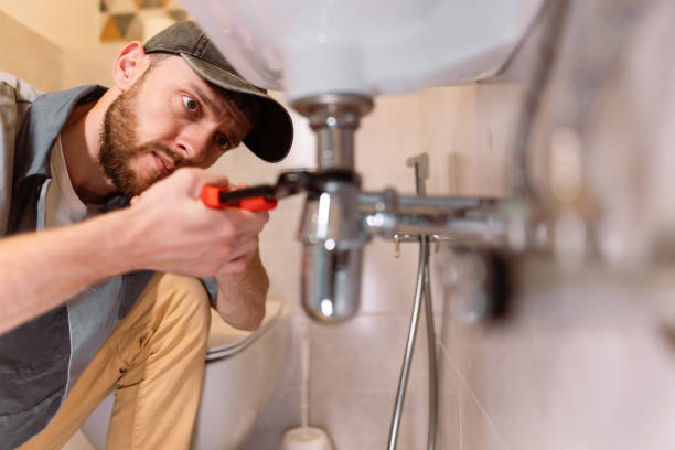 Professional Plumbing services in Pukalani, HI